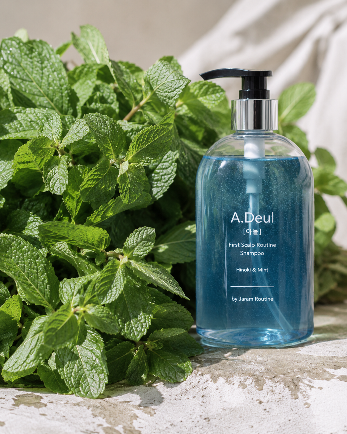유기농 민트 원물